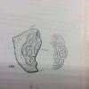 Moynagh Crannog Earrings - Image 2