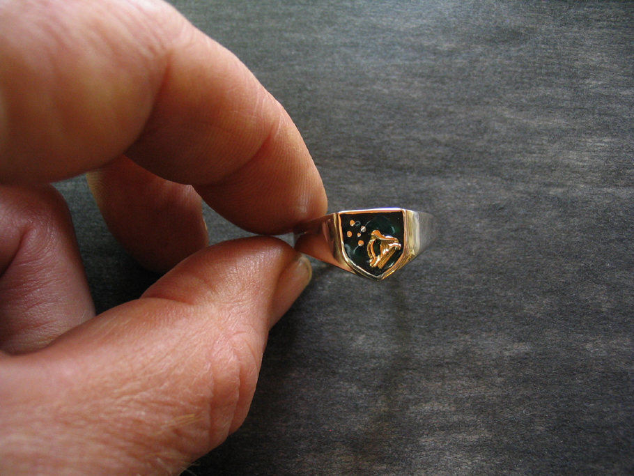 The Harp in the South Ring - Image 2